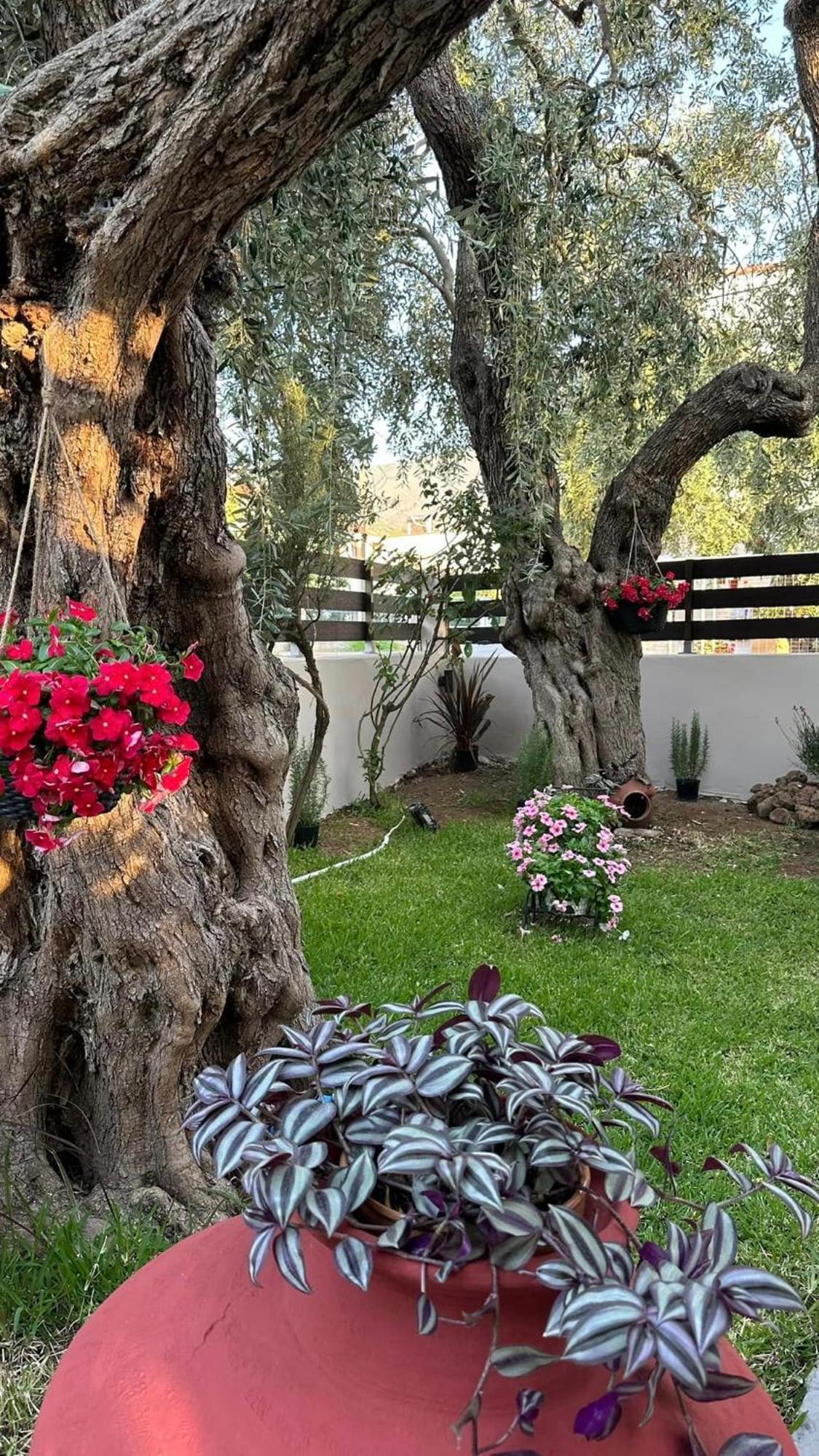 Skála Kallirákhis Valia House Thassos 아파트 외부 사진